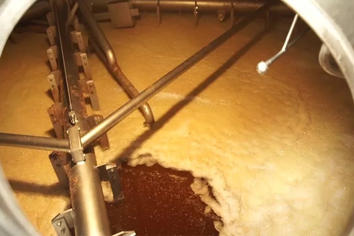 精釀啤酒廠有哪些節水策略？
